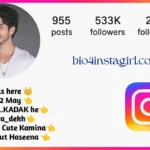 1120+ Instagram Bio for Boys Stylish Font – New & Trending Bios 2026